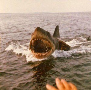 Jaws Behind the Scenes Pic